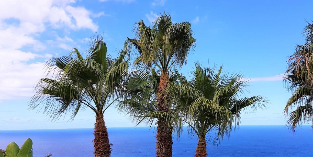Villa Larnia De Tenerife Sauzal Exterior foto